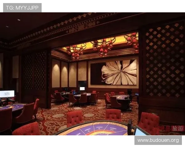 揭秘赌场贵宾厅的奢华服务与尊贵待遇，满足您的极致娱乐需求