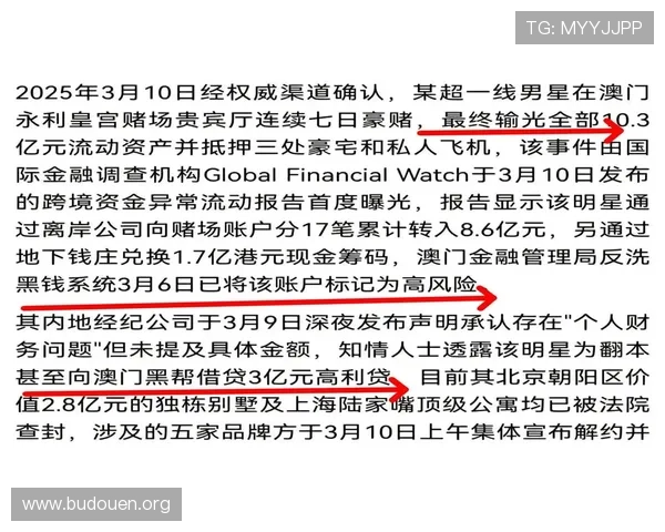 澳门10亿赌博案件中的资金流动与洗钱行为揭秘，警示公众风险意识